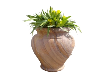 Flower Pot 10